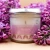 świeca sojowa bez lilak 100  ml 4.webp