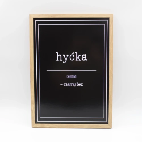 hyćka cz 1x1.0.webp