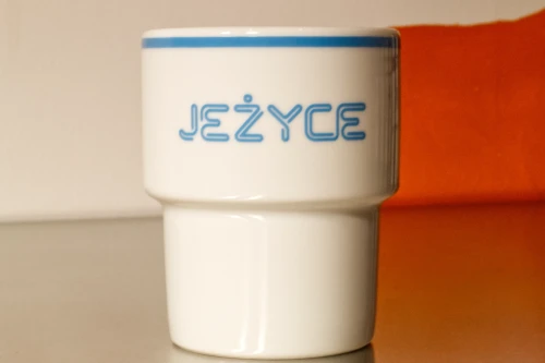 Jeżyce 1.1.webp